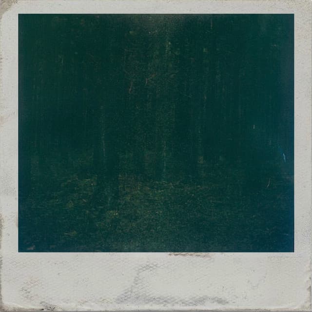 Album cover of Forever Has Always Been