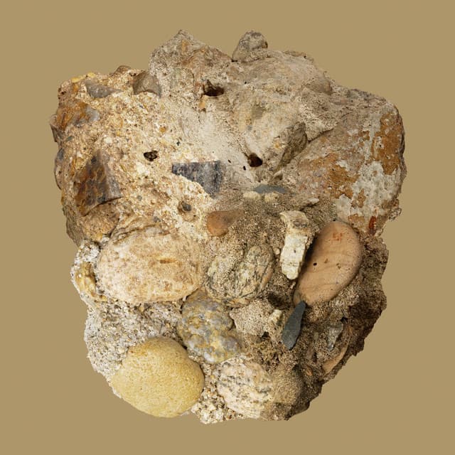 Album cover of Absence