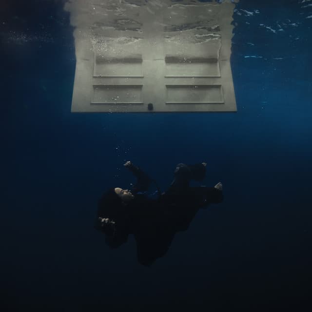 Album cover of HIT ME HARD AND SOFT